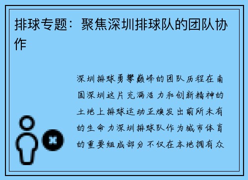 排球专题：聚焦深圳排球队的团队协作
